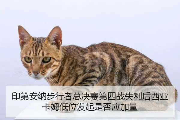 yin-di-an-na-bu-xing-zhe-zong-jue-sai-di-si-zhan-shi-li-hou-xi-ya-ka-mu-di-wei-fa-qi-shi-fou-ying-jia-liang-2-672.jpg