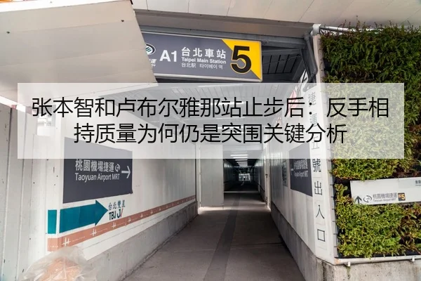张本智和卢布尔雅那站止步后：反手相持质量为何仍是突围关键分析
