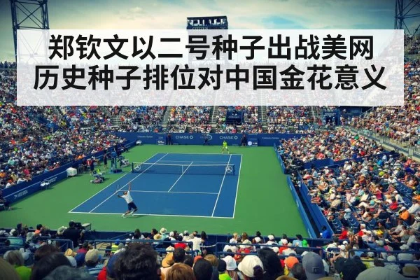 US Open tennis court